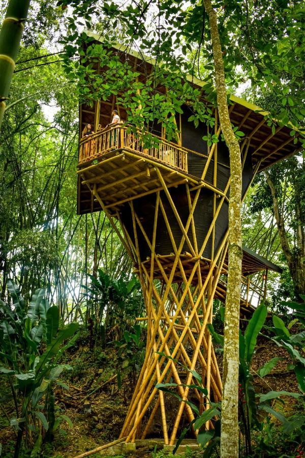 Eco Hotel Hacienda El Diamante Буґа Екстер'єр фото